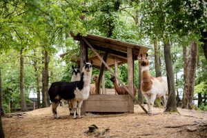 Die richtige Ernährung!